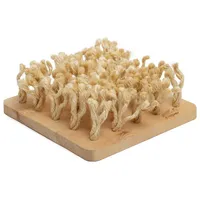 Bunny® nature by puppijames BunnyNature by puppijames Schnüffelbrett