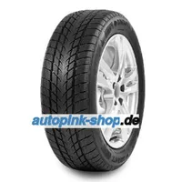 Davanti Wintoura 205/55 R16 94H XL