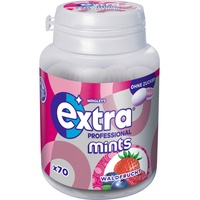 Extra Extra® Extra Professional Mints Waldfrucht Bonbons 70 St.