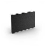 Bang & Olufsen Beosound Level - Kabelloser Tragbarer Wifi