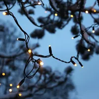 Star Trading Lichterkette extra warmweiß 491-00-1 außen exkl. Trafo