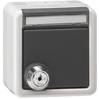 Gira 456930 SCHUKO-Steckdose gleiche Schließungen Grau