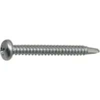 Dresselhaus Bohrschraube m.Linsenkopf 6047/001/01 4,2x25