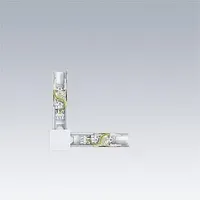 Thorn CONTUS T-VL4 Anschluss