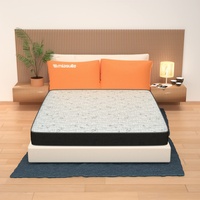 MiaSuite Matratze 160x190 Höhe 13 cm - Waterfoam, Faltbar,