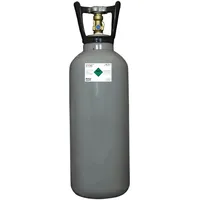 BieTal Kohlensäureflasche 6 kg grau
