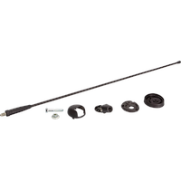 ACV Electronic Dachantenne Fiat Scudo / Ulysse / Peugeot
