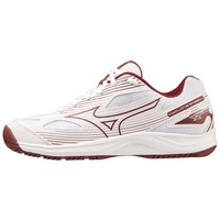 Mizuno CYCLONE SPEED 4 Volleyballschuhe Damen Hallenschuhe V1GC238045 weiß