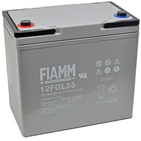 Fiamm 12FGL55 Blei Akku mit M6 Schraubanschluss 12V, 55000mAh