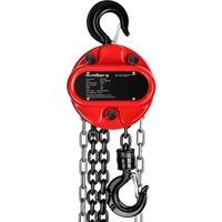 Steinberg Systems Kettenzug - 1.000 kg - 12 m