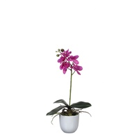 Mica decorations Mica Kunstpflanze Phalaenopsis im Topf violett, 48