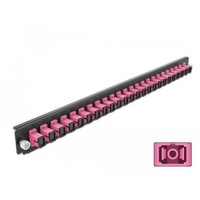 DeLock 43355 LWL-Frontblende 1 HE