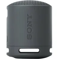Sony SRS-XB100 schwarz
