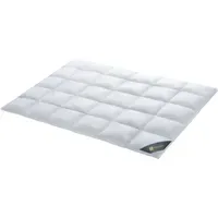 SPESSARTTRAUM Daunendecke Wildente warm 100% Daunen 155x220 cm
