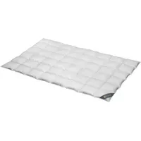 SPESSARTTRAUM Daunendecke Wildente normal 100% Daunen 200x200 cm