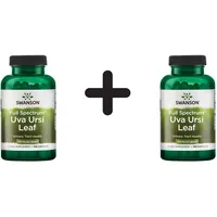 Swanson Uva Ursi Leaf, 450mg - 100 St