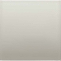 Jung ENOES2990-L EnOcean Funk-Wandsender 2-kanalig, Serie LS, Edelstahl