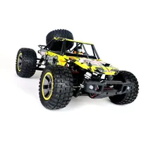 Enoze RC-Buggy Extreme 203 1:10 2,4GHz RTR