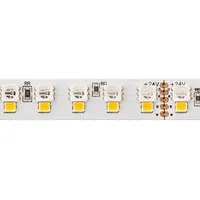 Sigor Sigor, LED Streifen, 24W/m RGB+W LED-Streifen RGB/3000K 5m