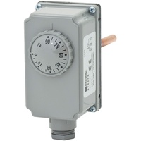 ESBE TIA122 | Tauchthermostat 100 mm | Anschluss G