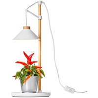 NORTHPOINT LED Pflanzenleuchte Kräutergarten Tischlampe aus Echtholz 9W 550