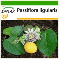 SAFLAX - Süße Granadilla - 20 Samen - Mit