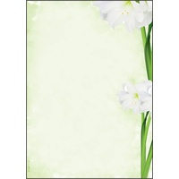 Sigel Motivpapier Green Flower Motiv DIN A4 90 g/qm