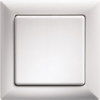 Eltako Wippschalter WS55-wg