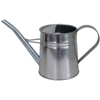 A.H.G. Gießkanne mit Henkel 1,7 Liter 12,5 cm x