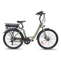 VILLETTE le Debutant Plus, Elektrofahrrad, 26-Zoll, 7-Gang, grün