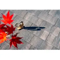 Diephaus Terrassenplatte Ruda Terra Holzstruktur 60 x 30 x