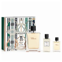 Hermès Terre d'Hermes Eau de Toilette 100 ml +