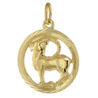 Trendor 39000-01 Sternzeichen Steinbock 333 Gold Anhänger Ø 16
