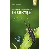 Ulmer Eugen Verlag Steinbachs Naturführer Insekten