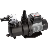 Steinbach SPS 75-1T, selbstsaugend, 230 V/450 W, Q= 142