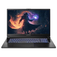 Captiva Advanced Gaming I75-899G1CH Laptop 43,9 cm (17.3") Full