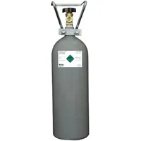 BieTal Kohlensäureflasche 2 kg grau