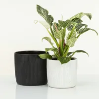 Scheurich Solido Linea, Blumentopf aus Keramik, Farbe: Ebano, 21,2