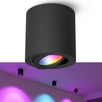 Linovum CORI Aufbauspot schwarz GU10 dimmbar mit Smart Home