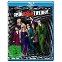 Warner The Big Bang Theory - Staffel 6 [2