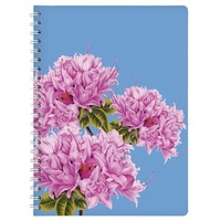 Cedon Ringbuch A4 Azalee