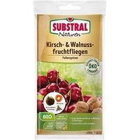 Substral Naturen Kirschfruchtfliegen-Falle,insektizidfrei, Leimfalle inkl. Lockstoff, 3 Fallen