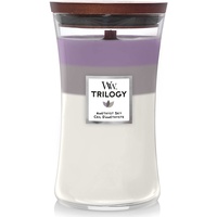 Woodwick Trilogy AMETHYST SKY Kerze Large Jar 623 g