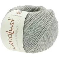 Lana Grossa LandLust Alpaka Merino 100 307 - Hellgrau