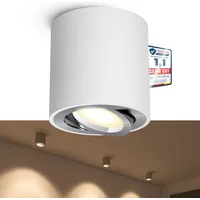 Linovum CORI Deckenstrahler Aufbau LED in weiß silber &