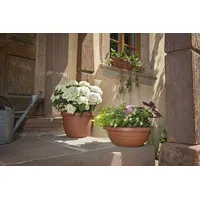 Scheurich Country Star D30 cm terrakotta