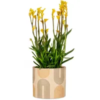 Scheurich Blumentopf aus Keramik, Farbe: Arcade, 14 cm Durchmesser,