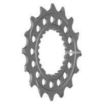 Shimano Ritzel CS-M9100 Grau Modell 2024