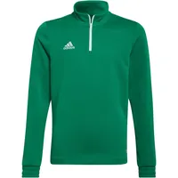 Adidas Entrada 22 Kinder grün 116