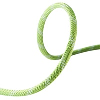 Edelrid Static Low Stretch 11.0mm Statikseil (Größe 70M, gruen)